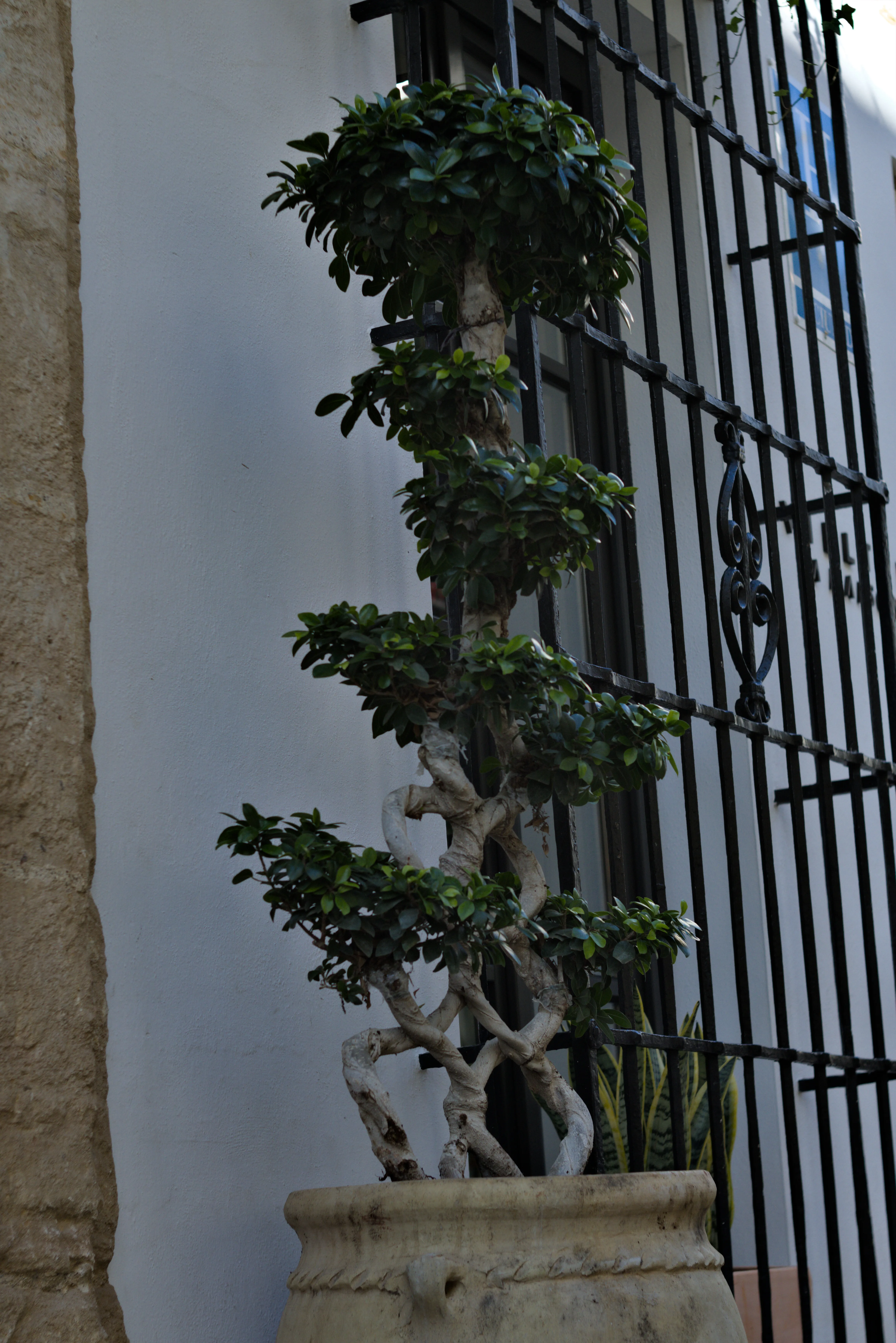 Zenith Helios-77M-4 1,850 (VOMZ) - _I4A6838.webp